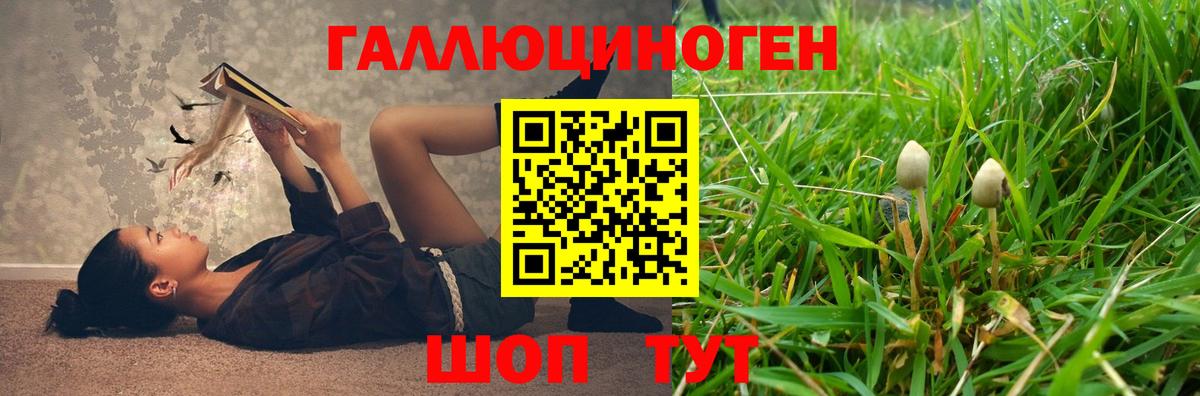 как найти закладки  Псилоцибиновые грибы Cubensis  Вход с VPN  Владикавказ 
